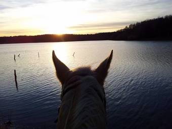 Waldhotel Zum Bergsee Damme