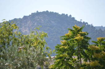 Hotel Apartamentos Rurales Ibipozo