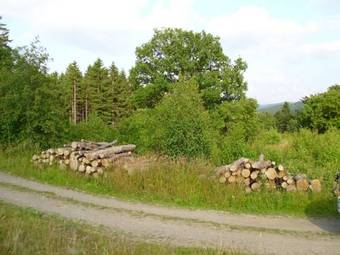 Holiday Home Krahenberg Wolfshagen