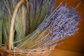 Hostal Pension Angusfarm