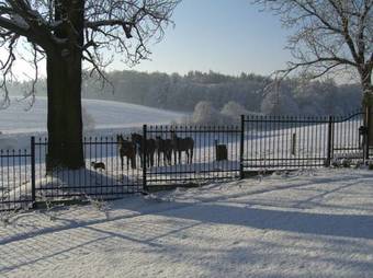 Agroturismo Pension Rothschild?v Dv?r