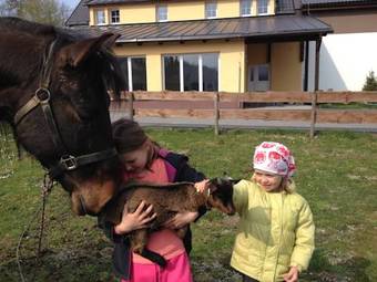 Posada Penzion Farma Zleby