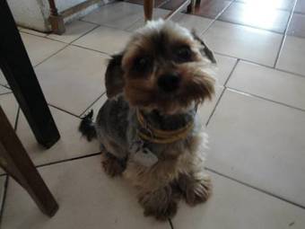 Apartamento Opolenec