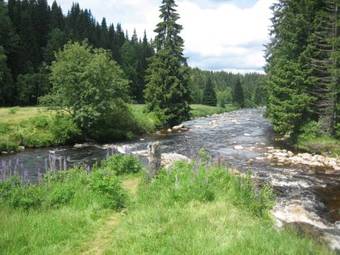 Apartm�ny Vydr�sek