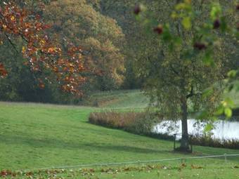 Woodlands Bed & Breakfast