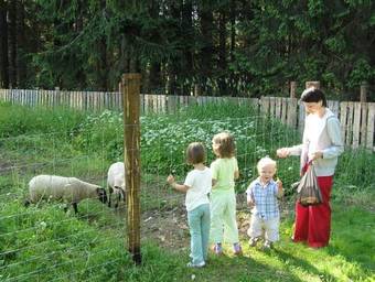 Hostal Penzion ?umavous