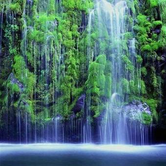 Motel Swiss Holiday Lodge