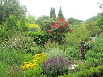 Bed & Breakfast La Frandomi�re