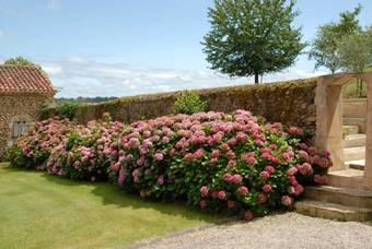 Bed & Breakfast A La Vie Douce