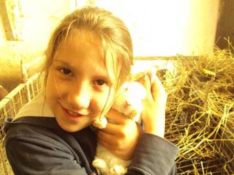 Bed & Breakfast All'ombra Del Castello