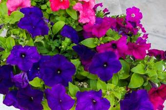 Bed & Breakfast Casa Titti