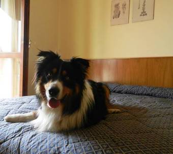 Hotel Albergo Milano