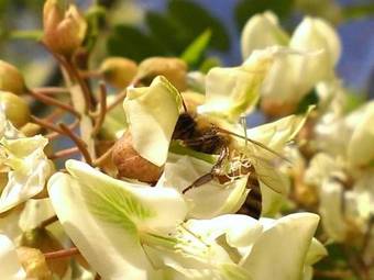 Agroturismo Il Laghello Di Amina