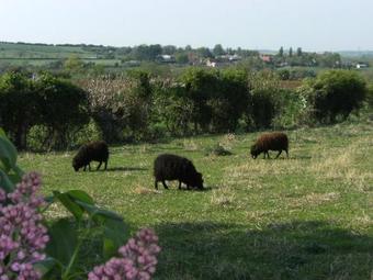 Bed & Breakfast Alex Factory Chambres Et Tables D'h�tes