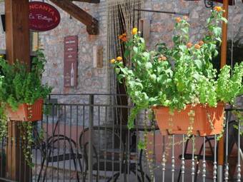 Agroturismo Locanda Settecamini