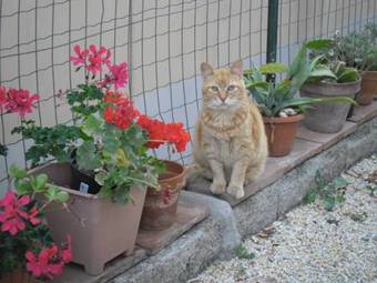 Apartamento Appartamenti Claudia