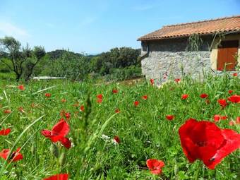 Apartamento La Ciliegiola