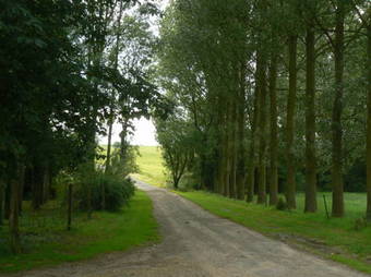 Bed & Breakfast Maison D'h�tes La Rose Laiti�re