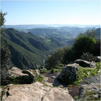 Hostal Castellinaria