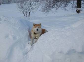 Aparthotel Residence Foyer D'antan