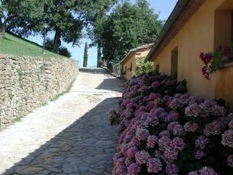 Agroturismo Agriturismo Podere L'aione