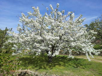 Hotel Caba�as-bungalows-camping �la Vera�