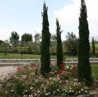 Casa Vacanza Podere Chiantini