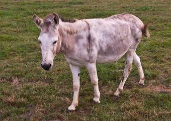 Bed & Breakfast Chambre D'h�te La Flopr�