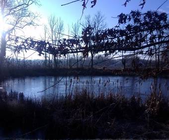 Bed & Breakfast Chambres D'h�tes La Tribu