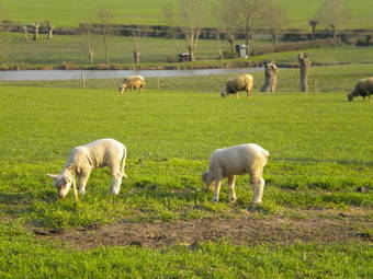 Bed & Breakfast Chambres D'h�tes Ant�zi�re