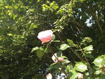 Bed & Breakfast Greenfield Chambres D'h�tes