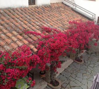 Bed & Breakfast Su Pasiu