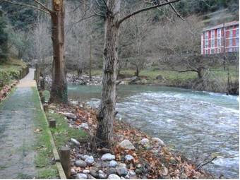 Agroturismo Posada El Cafet�n