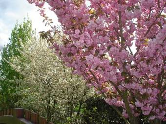 Bed & Breakfast Chambres D'h�tes Au Temps Des Cerises