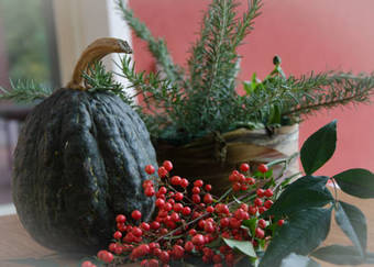 Bed & Breakfast Il Gelso Bianco