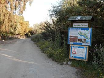 Agroturismo Agriturismo Casebianche