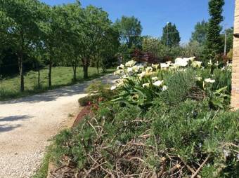 Bed & Breakfast Casapagnano