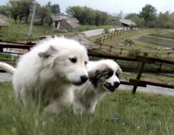 Agroturismo Agriturismo A Nostro Mizoun