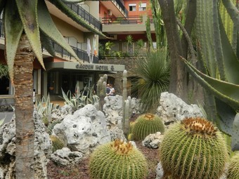 Hotel Garden