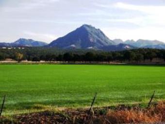 Hotel Hampton Inn & Suites Yuba City