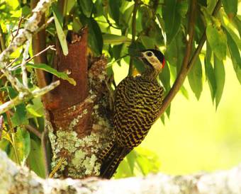 Hostal Pousada Pouso Do Ti�