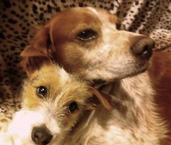 Bed & Breakfast Chambre D'h�te "chez Antoinette Et Charles"