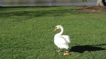 Apartamento Le Val D'and�