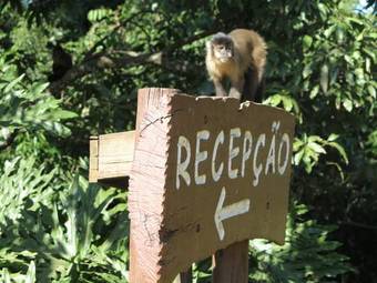 Agroturismo Fazenda Bela Vista