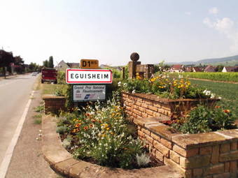 Hotel H�tel Saint Hubert