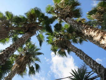 Bed & Breakfast Villa Laura