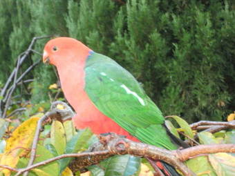 Apartamentos Glenview Retreat Luxury Accommodation