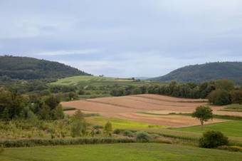 Apartamento Wohnen Im Alten Pfarrhaus