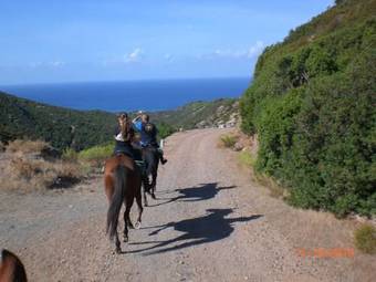 Centro Di Turismo Equestre B&B Shangril�