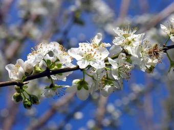 Albergue Pousada De Juventude De Vila Nova De Foz Coa